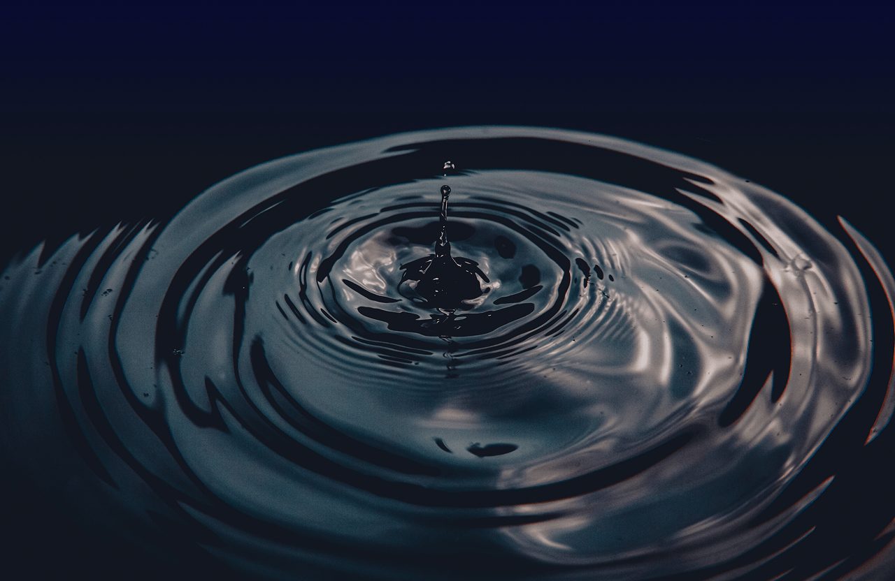 An expansive natural landscape